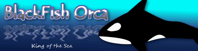 Blackfish Orca game banner